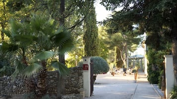 Un chemin menant à une entrée fermée par un portail, avec un mur en pierre et un palmier.