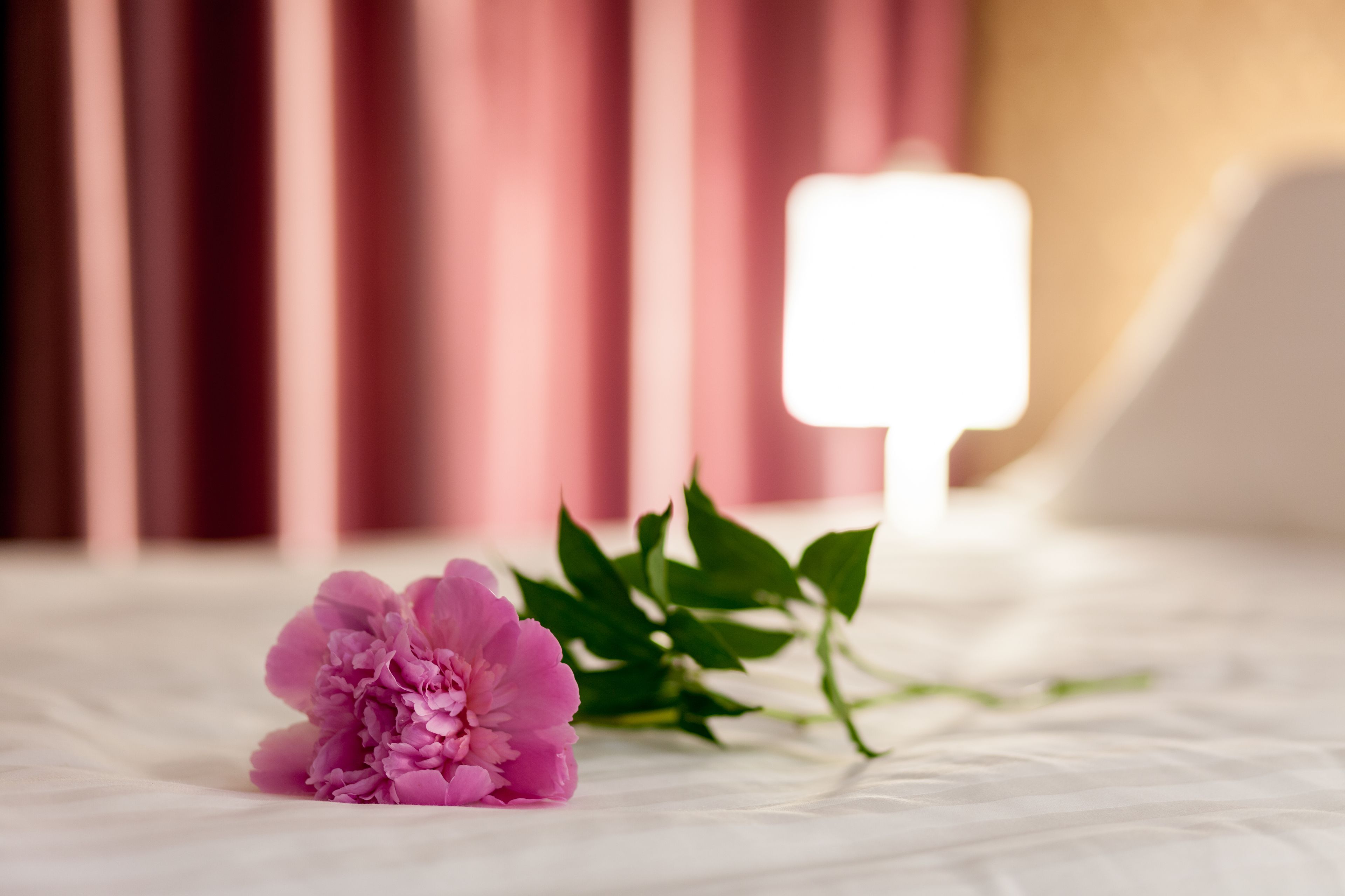 A bed with a pink flower and green leaves on a white bedspread.