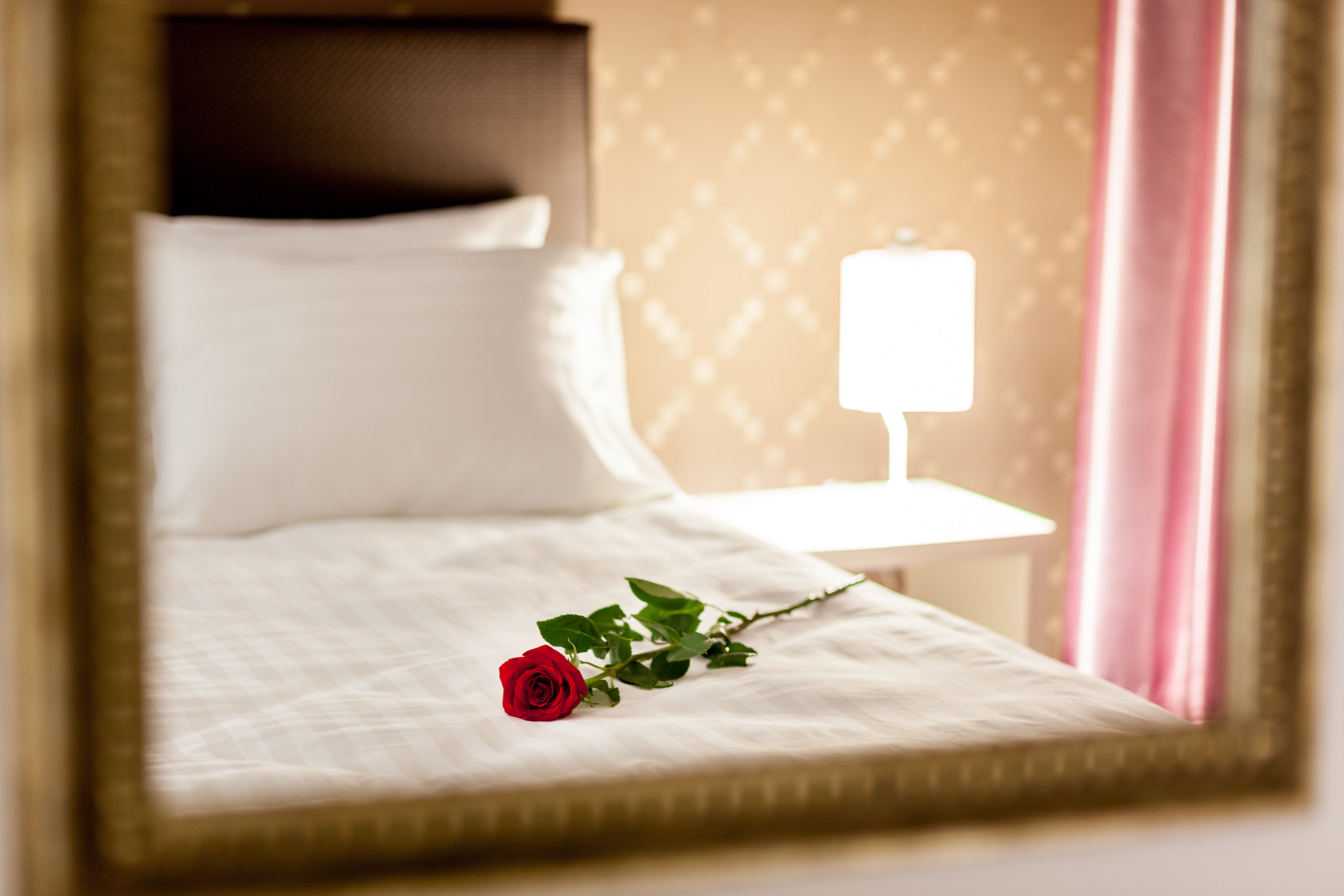 A neatly made bed with a white pillow and a single red rose on the bed.