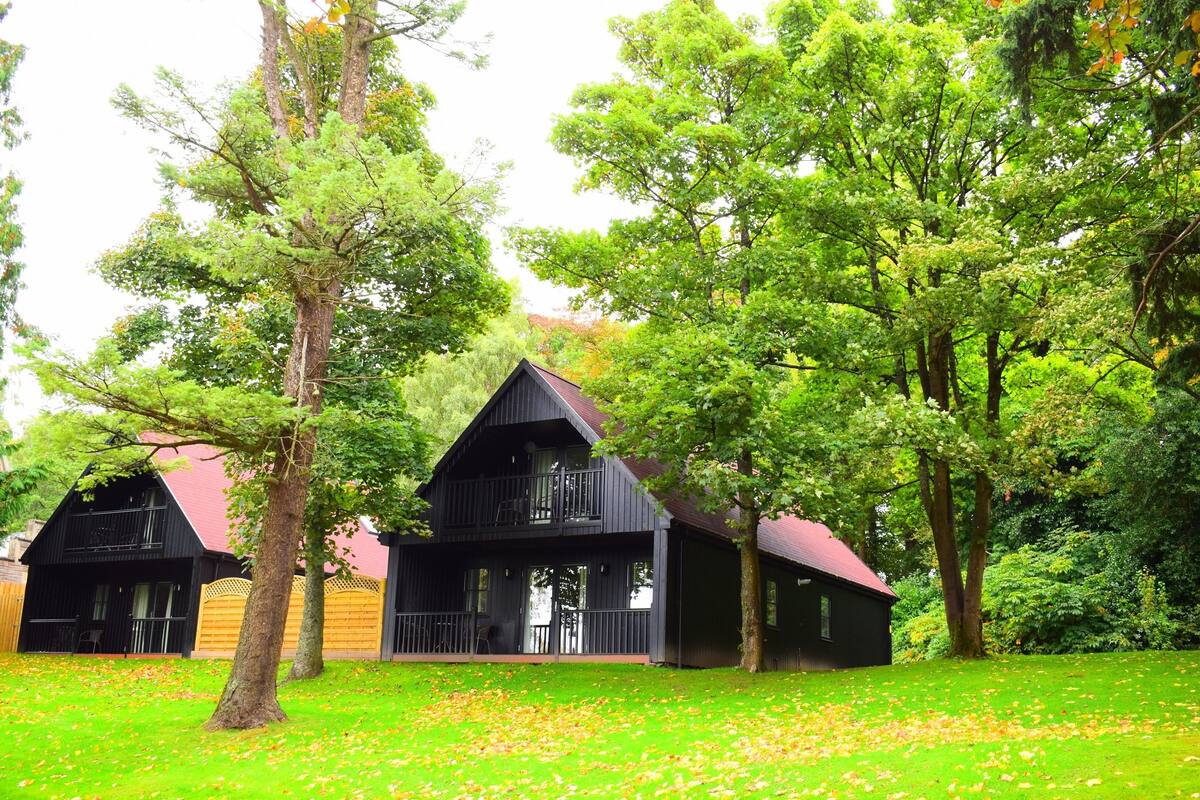 A two-story cabin with a balcony, surrounded by lush greenery and trees.