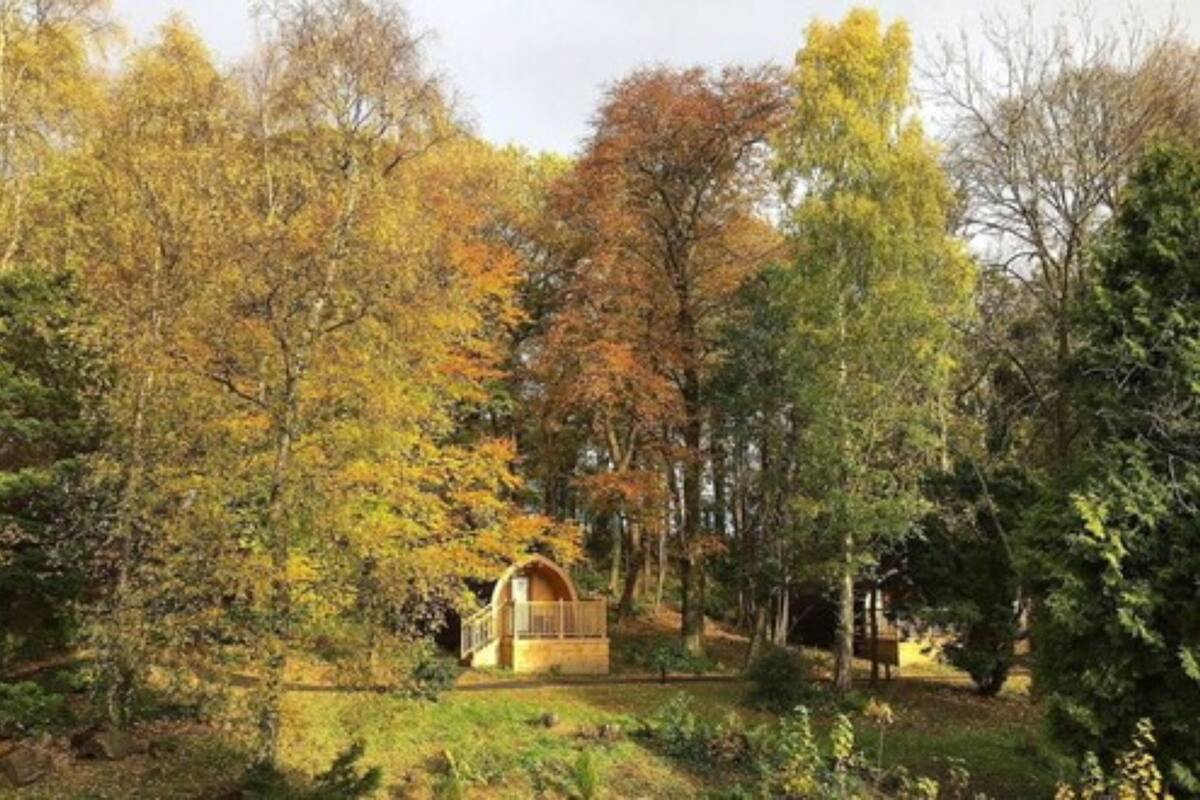 Cabin, 1 Double Bed with Sofa bed | In-room safe, desk, iron/ironing board, WiFi
