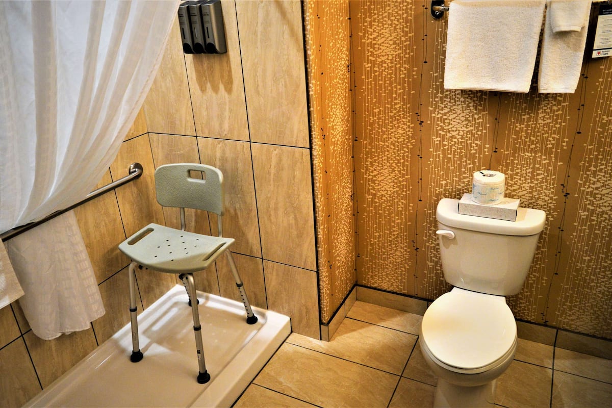 free toiletries, hair dryer, towels