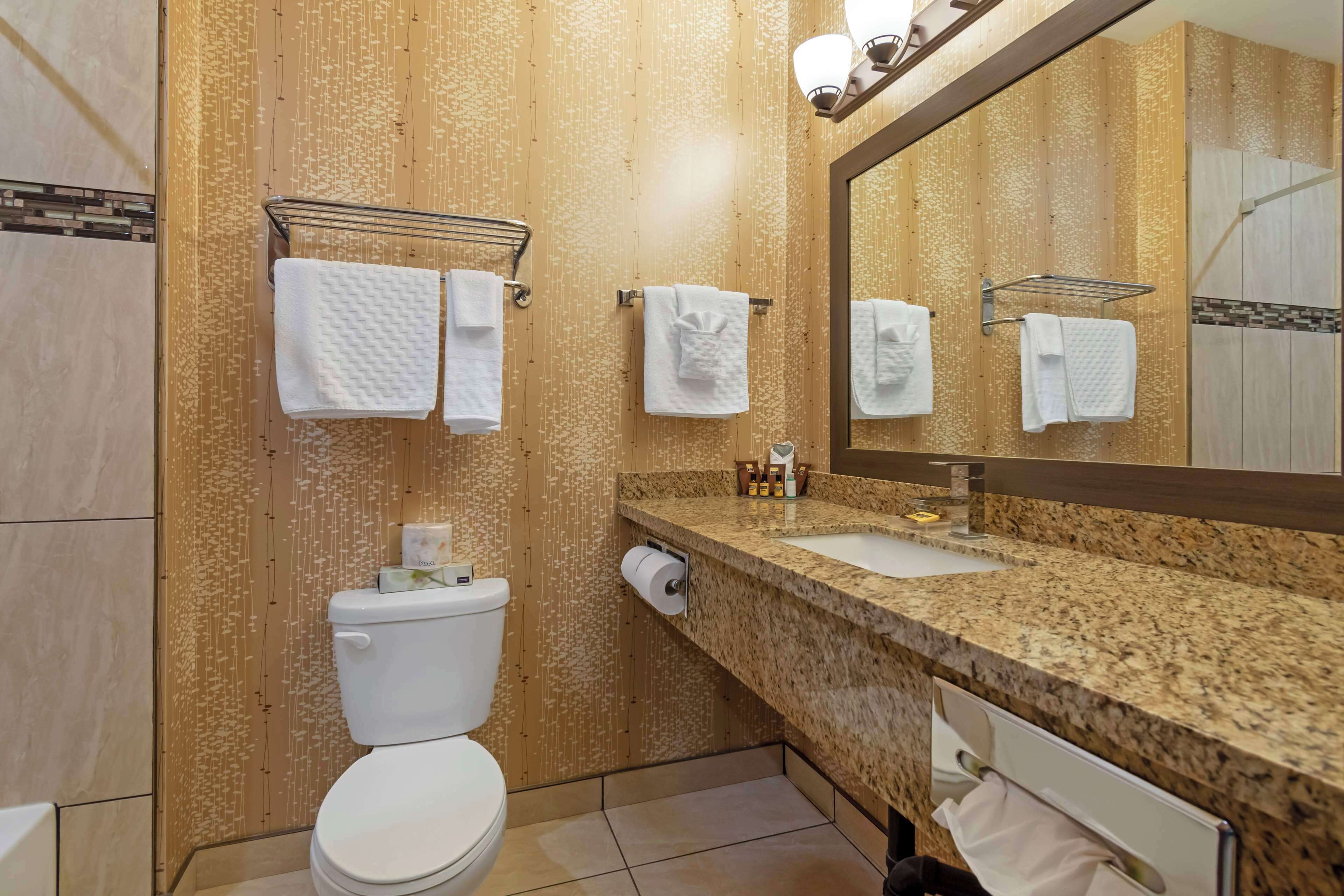 Une salle de bain équipée de toilettes, d’un lavabo et d’un miroir. Des serviettes sont suspendues sur un porte-serviettes et un distributeur de serviettes est également présent.