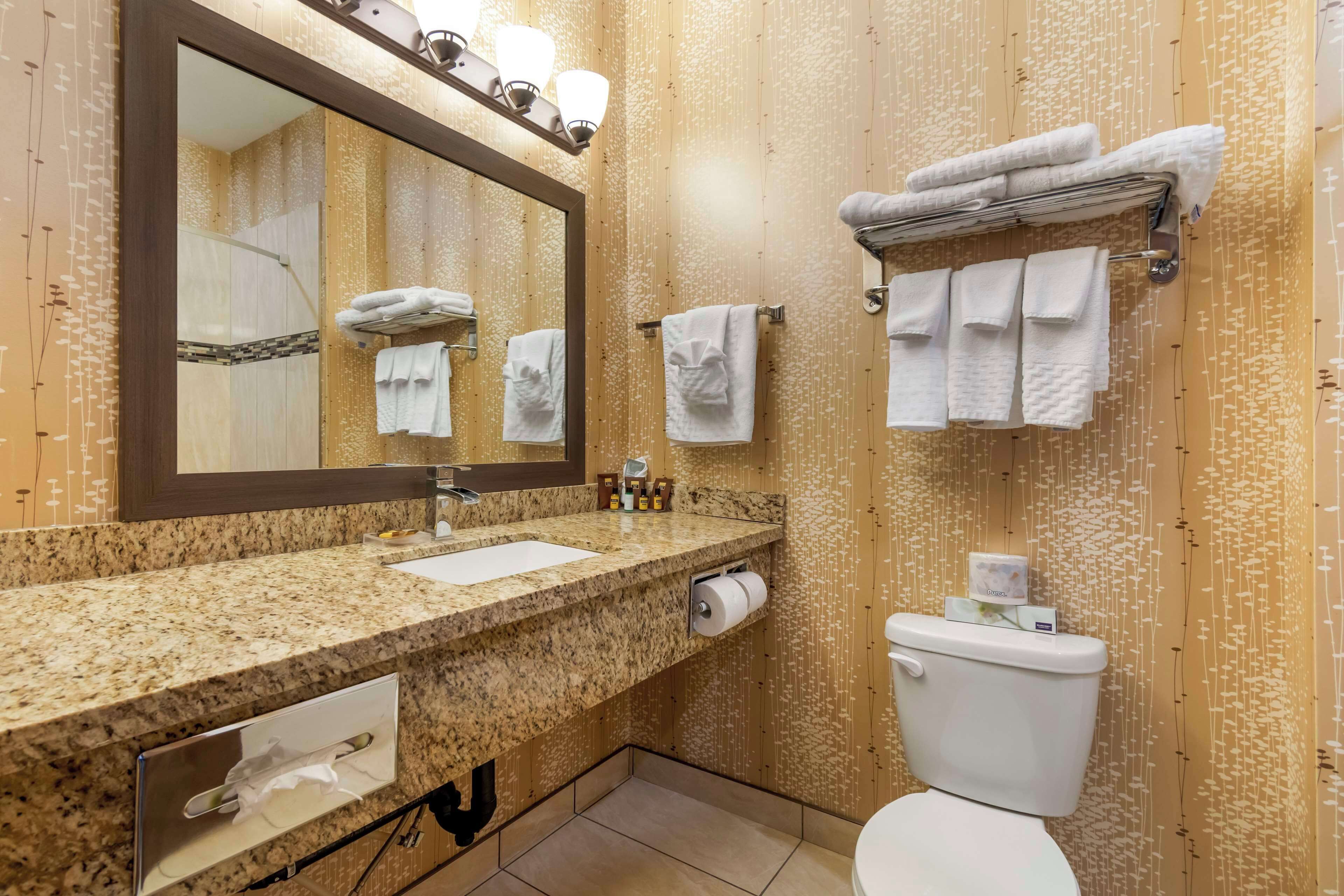 Une salle de bain avec un comptoir en granit, un lavabo, un miroir, des toilettes et des serviettes suspendues à un porte-serviettes.