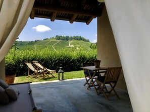 A terrace with a table and chairs, a potted plant, and a view of a vineyard. - MiaClara Relais (Alba)