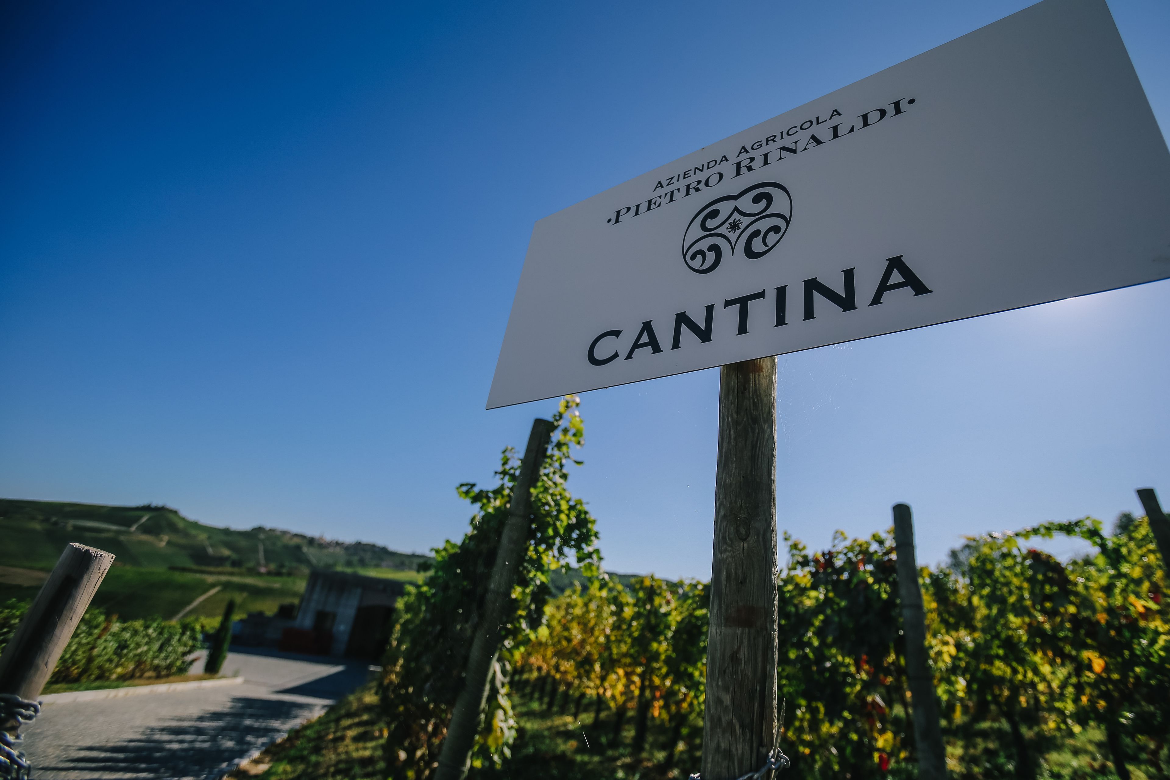 A sign with the name 'CANTINA' and a logo, set against a vineyard backdrop.