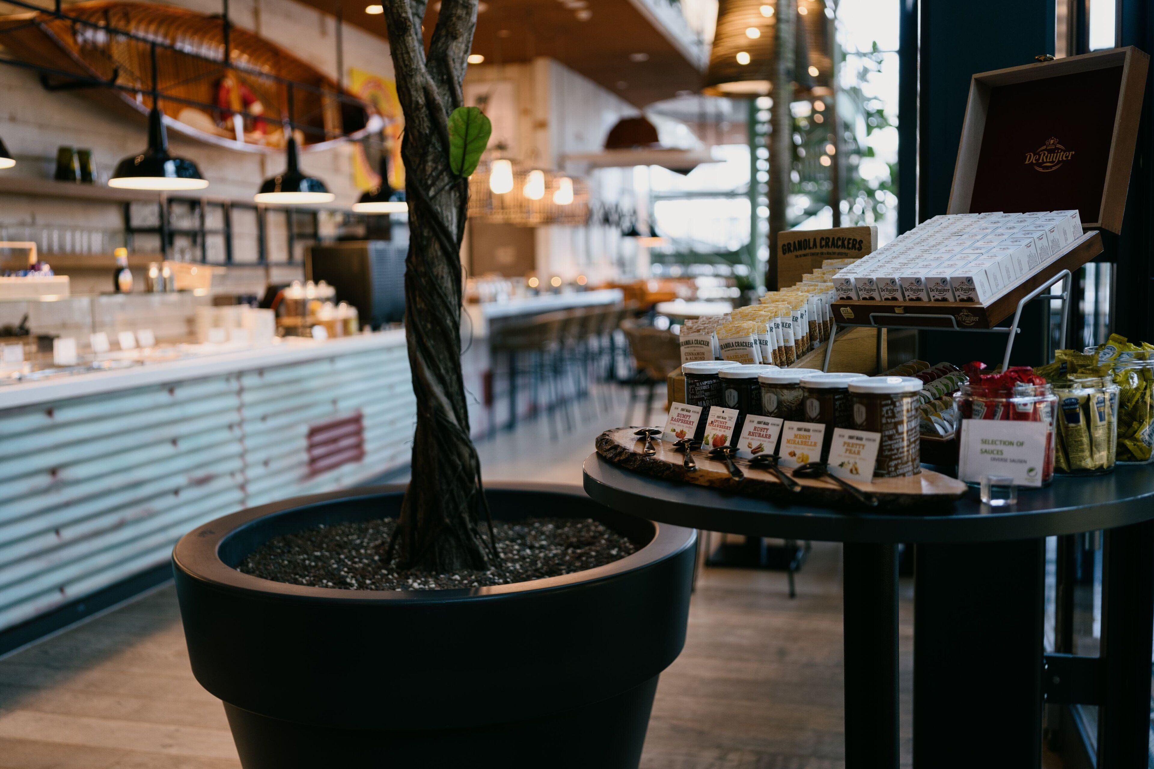 A café interior with a large potted tree, a display of snacks and pastries, and a menu stand.