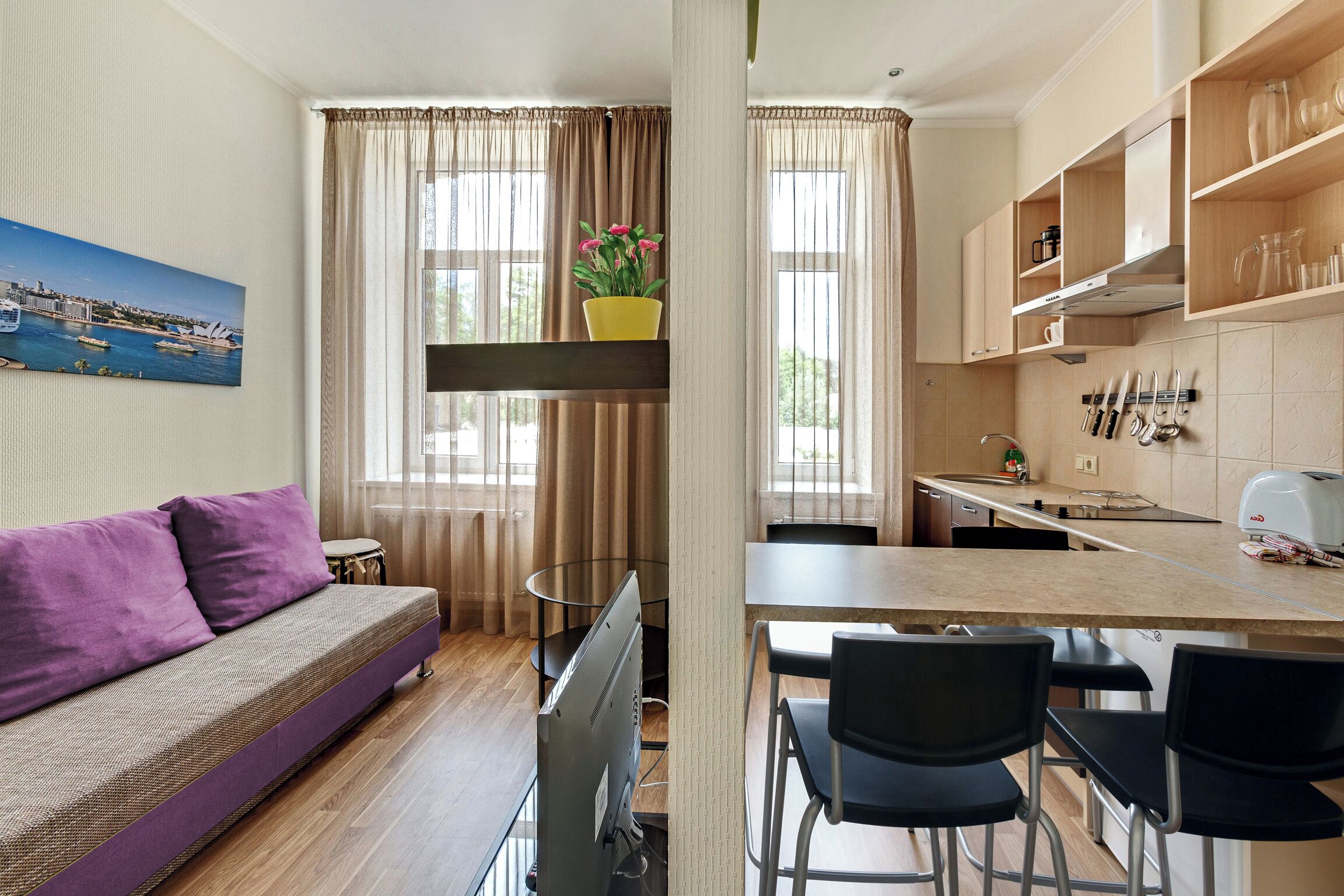 Televisión de pantalla plana