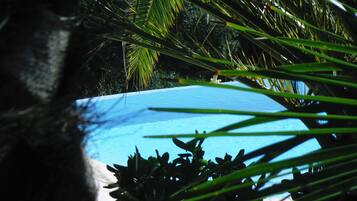 A clear view of a swimming pool surrounded by lush greenery.