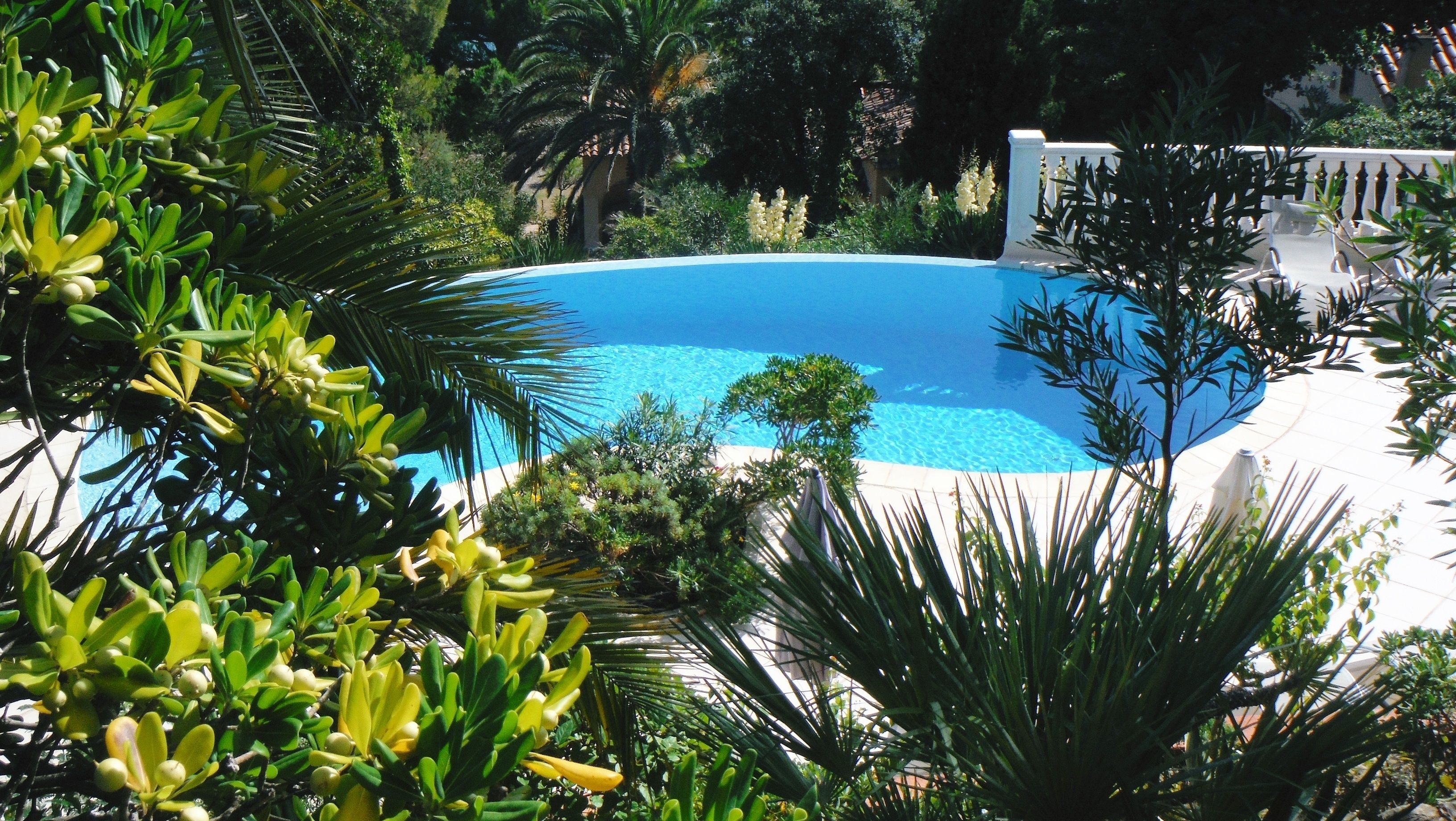 Una piscina circular rodeada de abundante vegetación y una valla blanca.