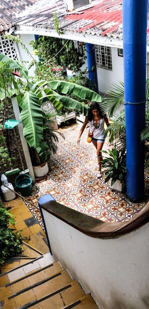 Jardines del alojamiento