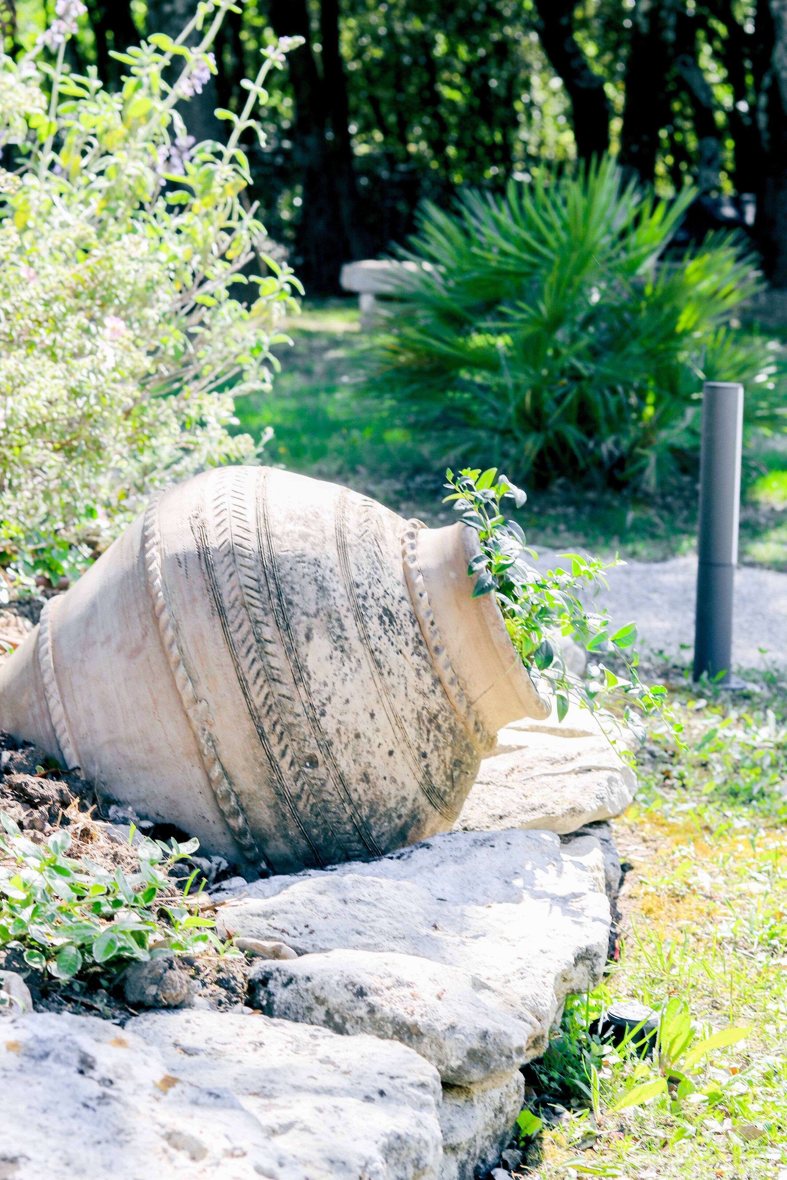 A large conch shell with a plant growing out of it, set against a backdrop of greenery and rocks.