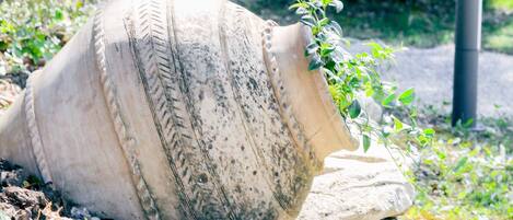 A large conch shell with a plant growing out of it, set against a backdrop of greenery and rocks.