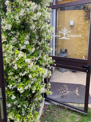 Se sirven desayunos, almuerzos y cenas; cocina regional