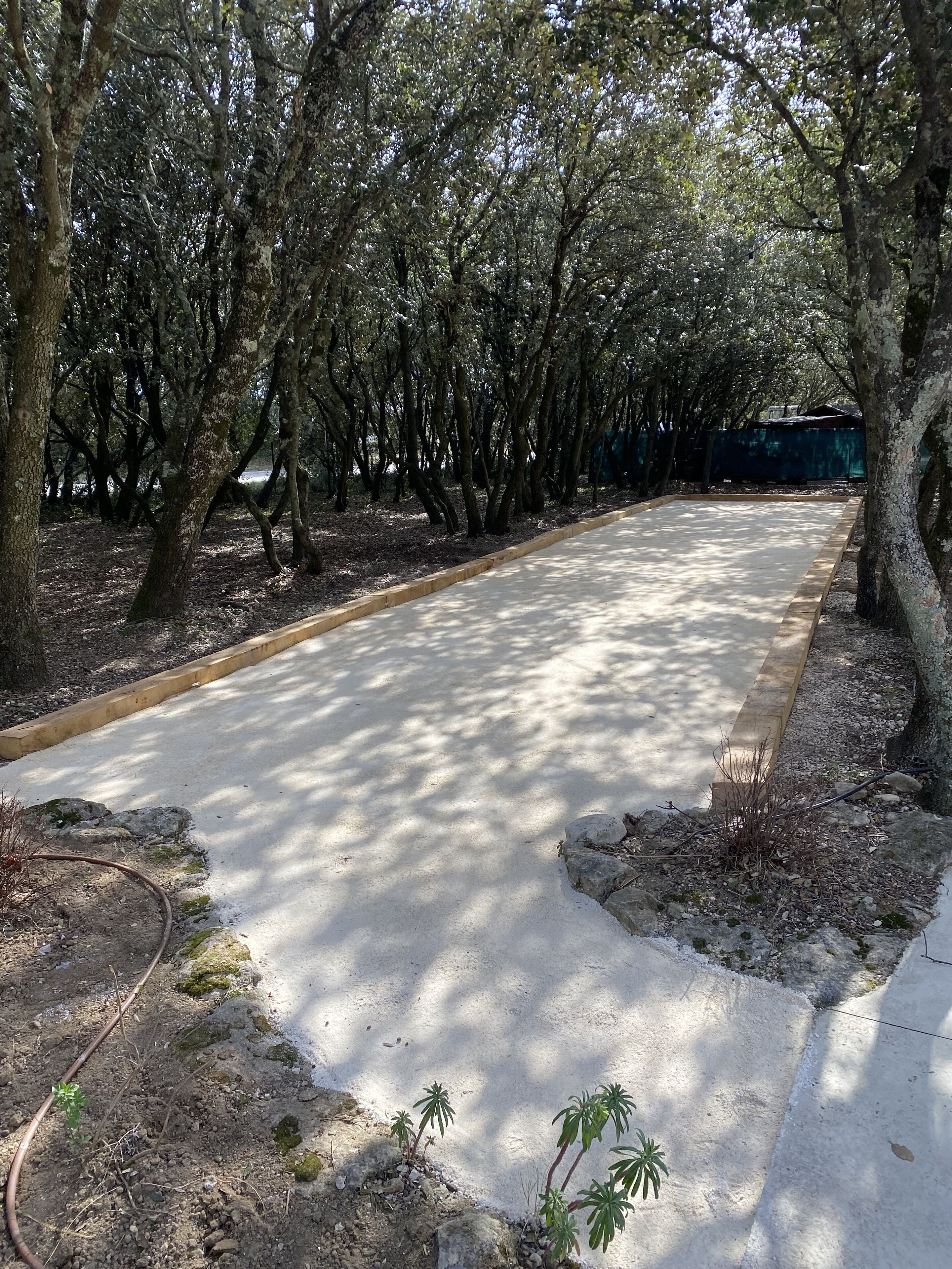 Un sendero pavimentado rodeado de árboles en una zona boscosa.