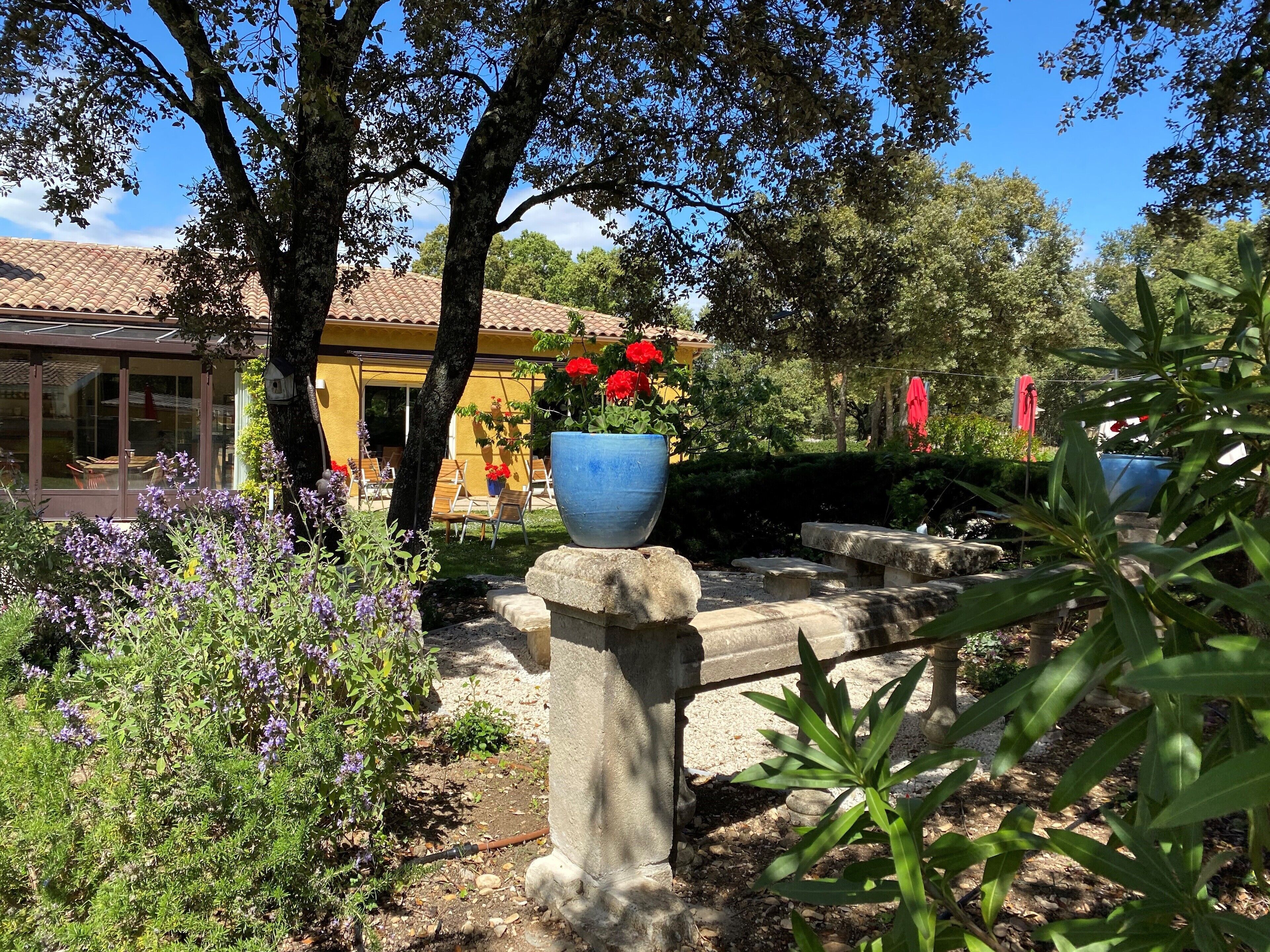 Un jardin avec un banc en pierre, un bâtiment jaune avec un toit en tuiles et une grande plante en pot ornée de fleurs rouges.