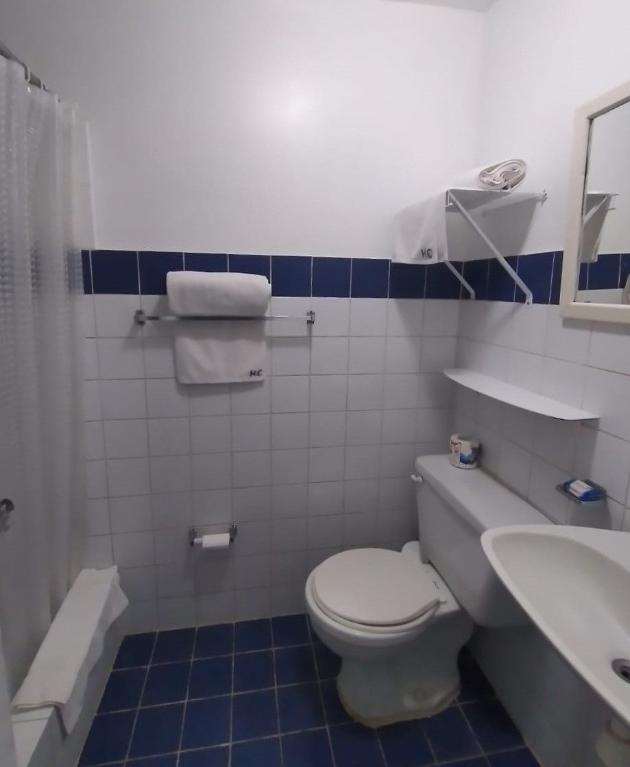 A bathroom with a toilet, sink, and shower area.