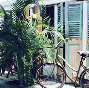 供應早餐和午餐，法國料理，海灘景觀