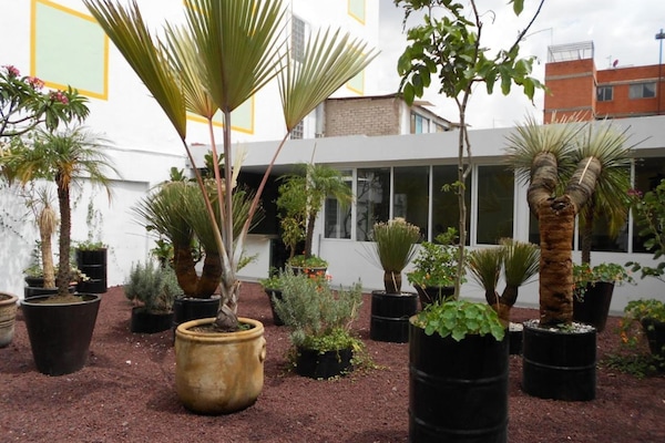 Área da propriedade