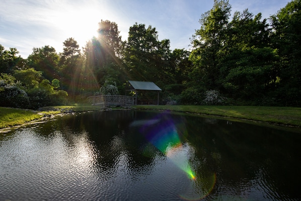 A tranquil pond with a gazebo in a lush garden, surrounded by dense trees and a clear sky.