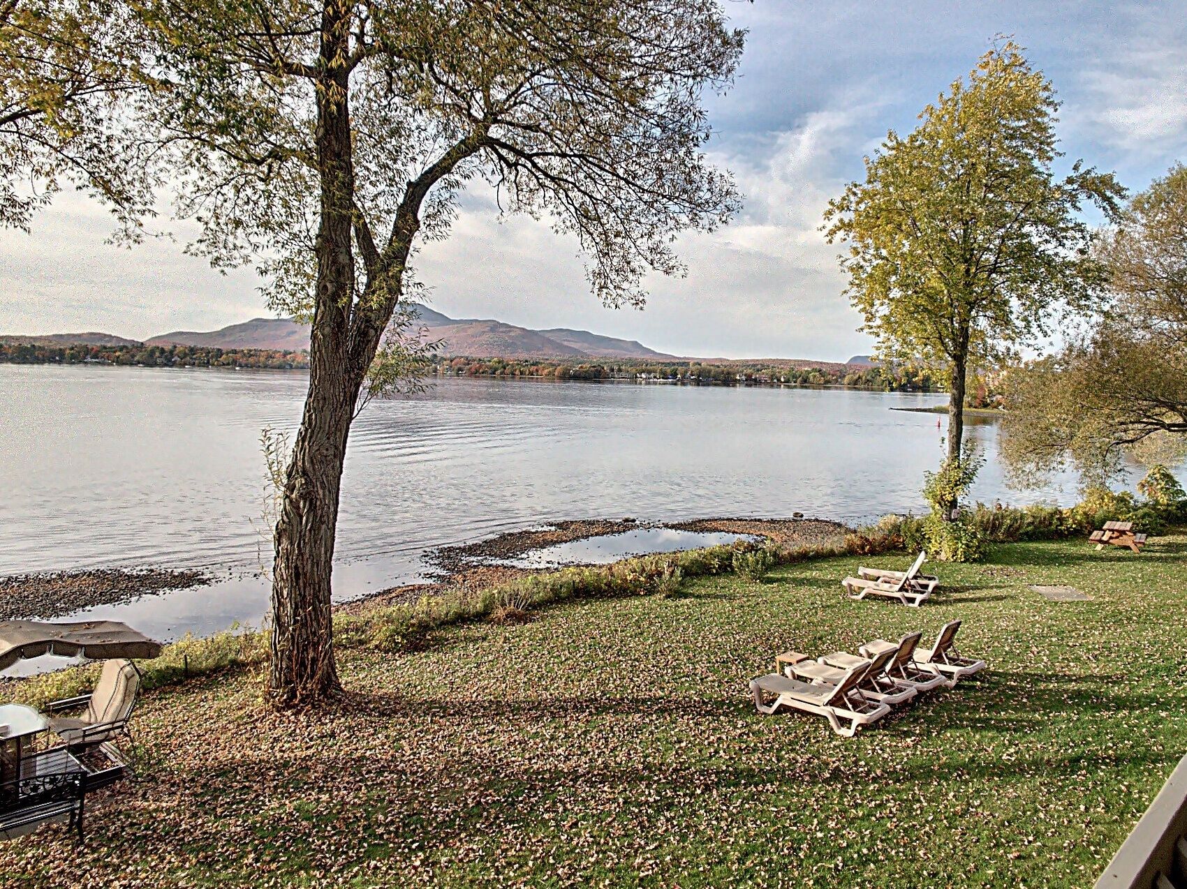 A lakeside view with lounge chairs and a picnic table, surrounded by trees and a mountain in the background.