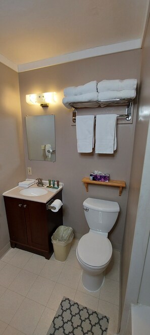 Combined shower/tub, free toiletries, towels, soap