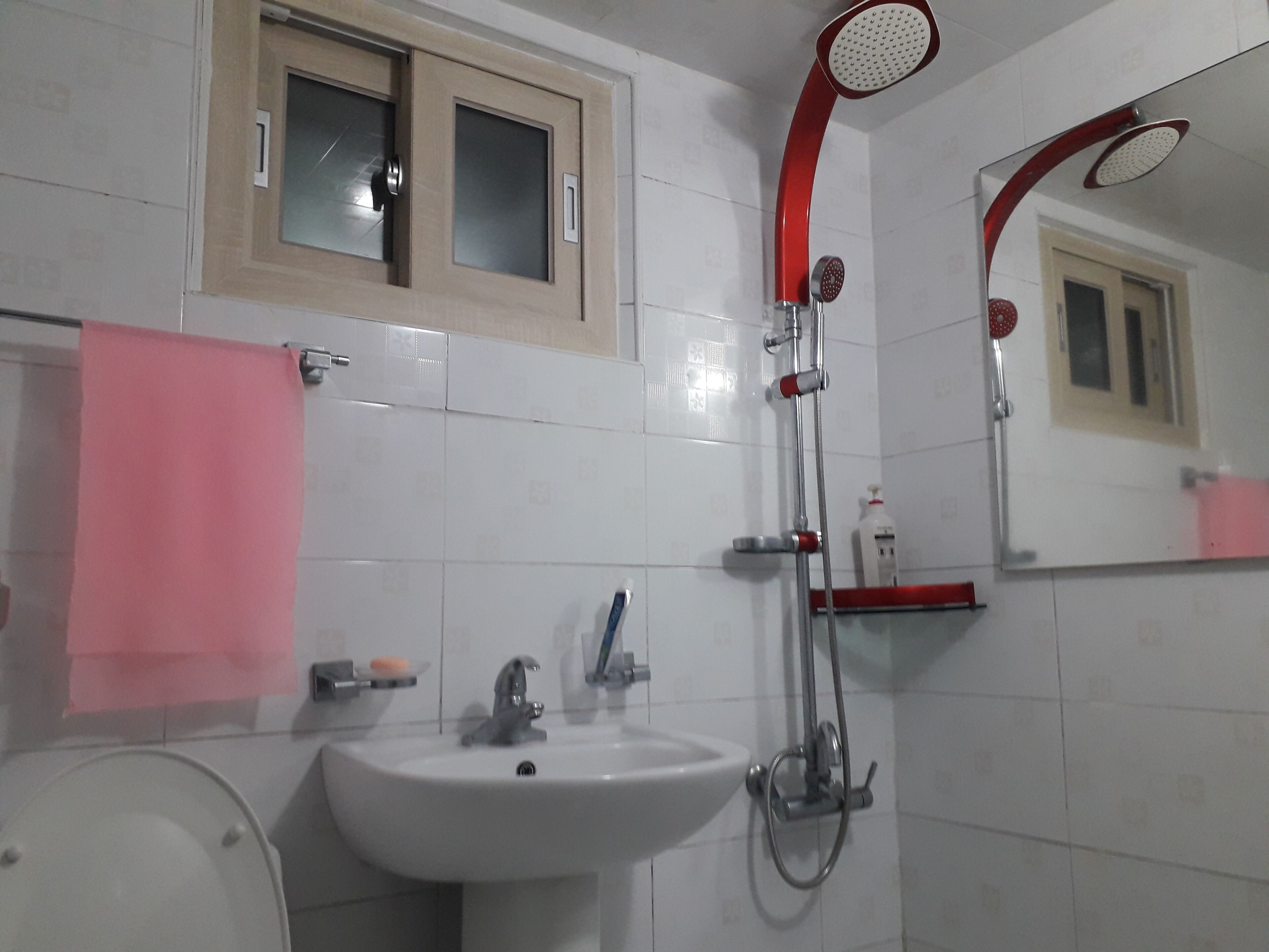 A bathroom with a white sink, a toilet, a shower with a red hose, and a mirror.