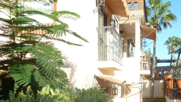 A courtyard with potted plants, a staircase, and a building with balconies.