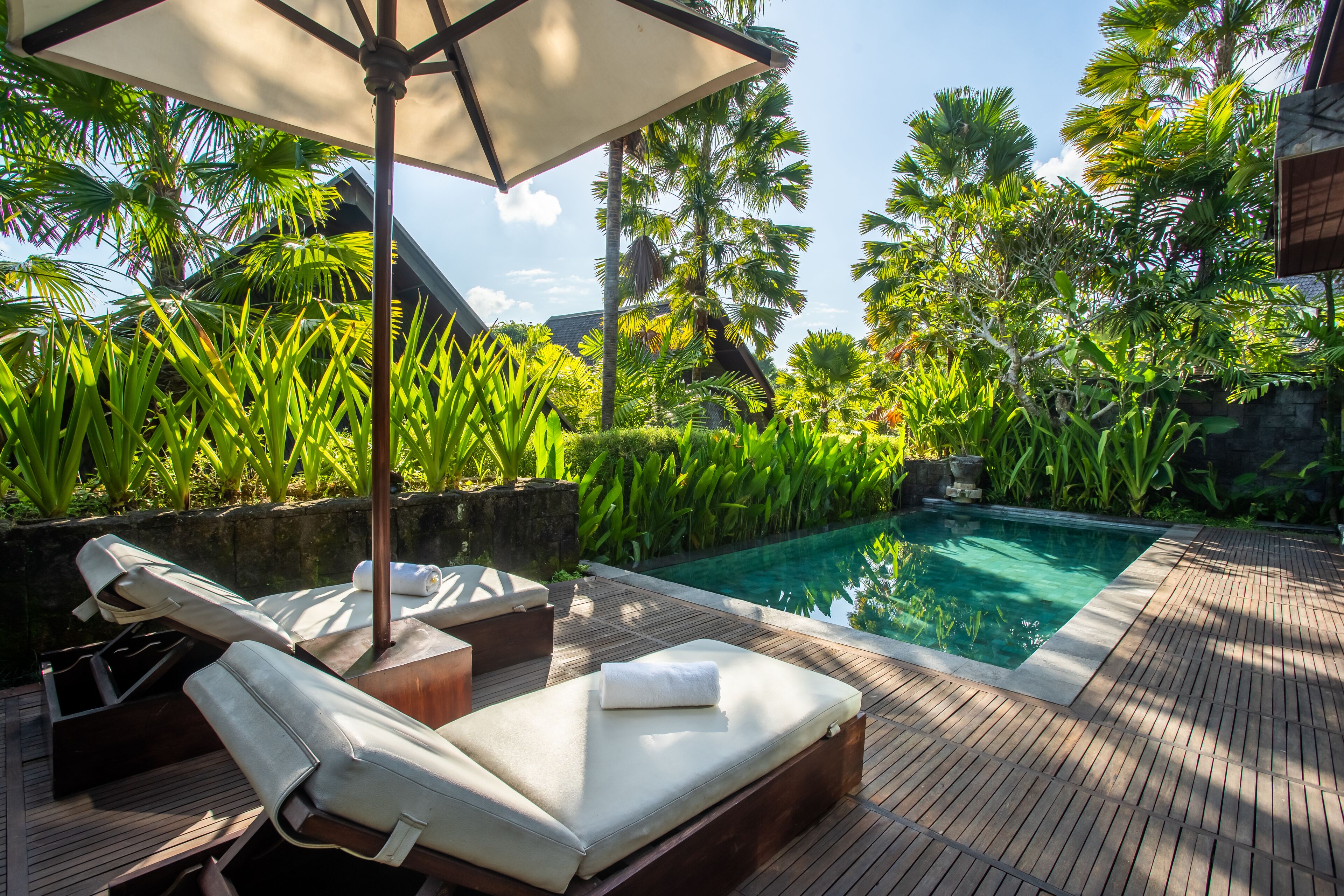 إطلالة الغرفة