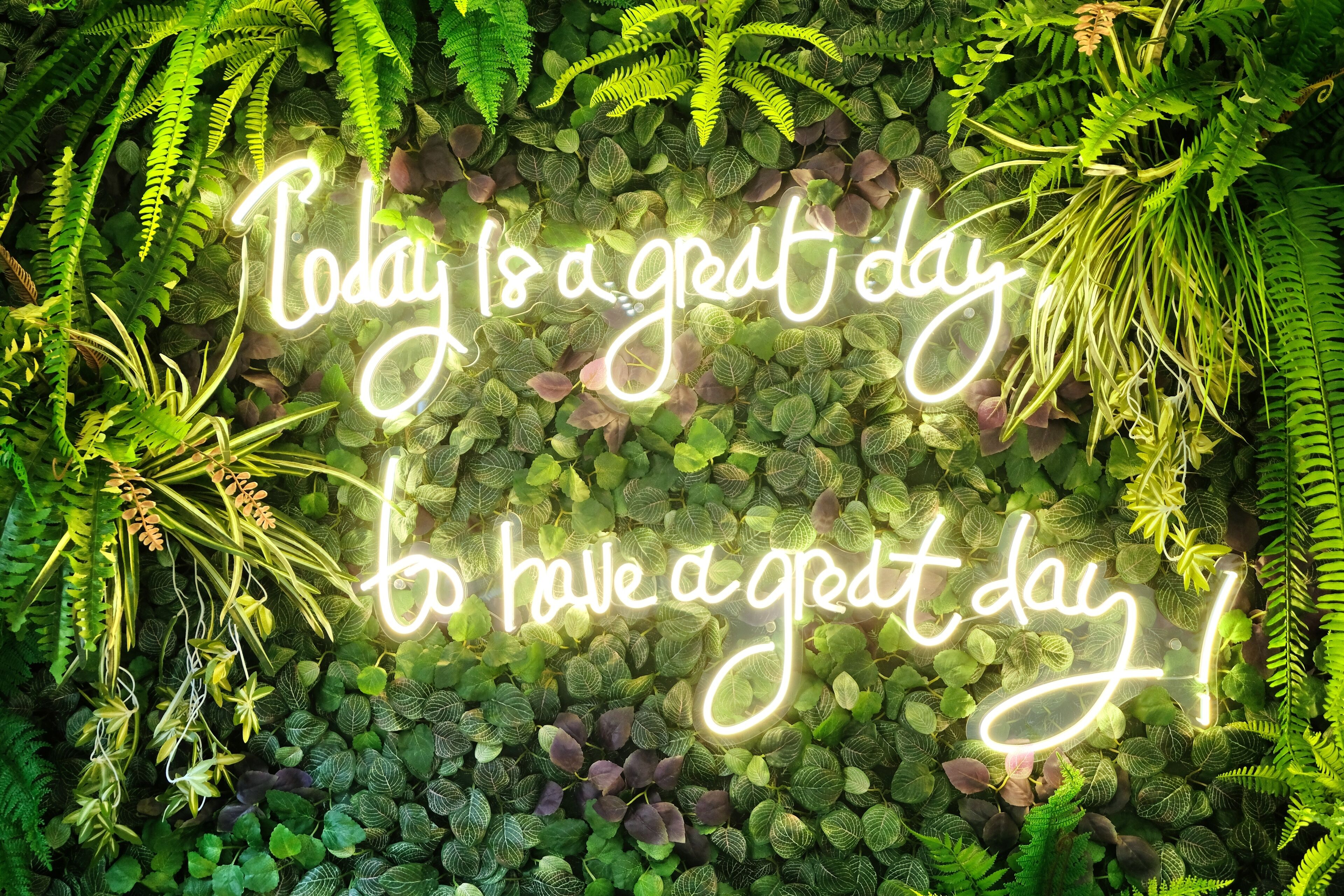 Photo - Rest Chinatown Hotel