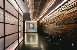 Εσωτερική είσοδος