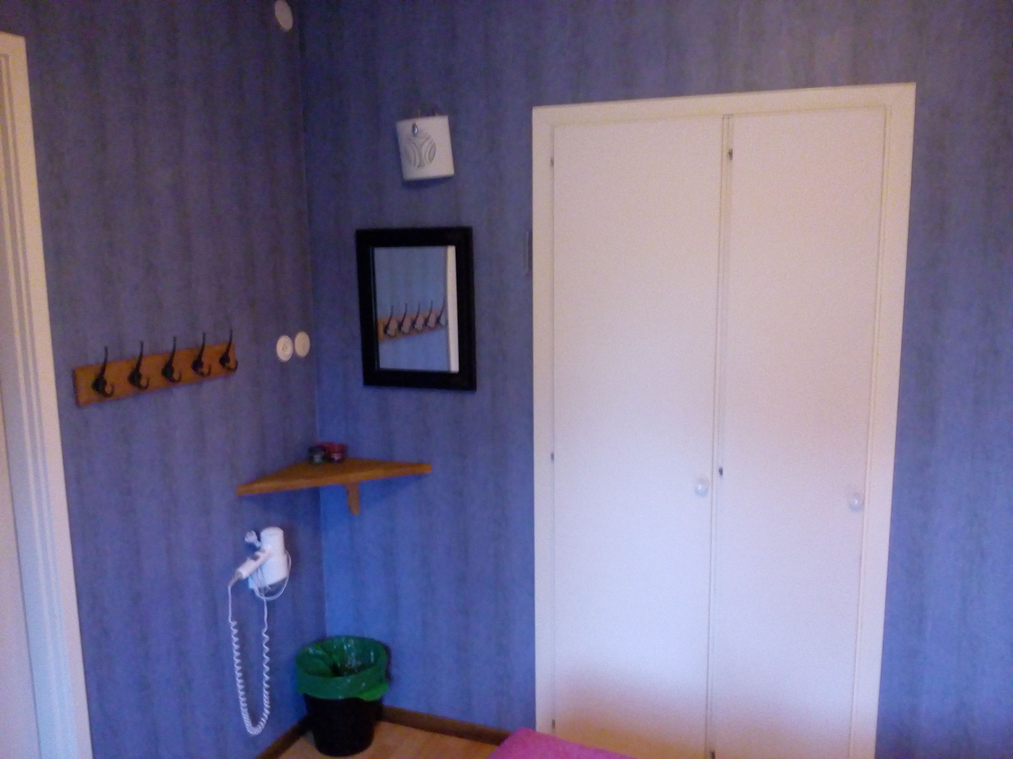 A room with a white door, a coat rack, a framed picture, a telephone, and a trash bin.