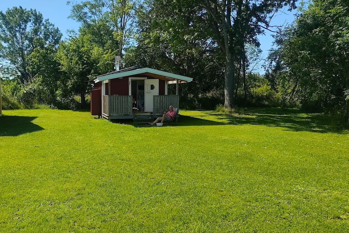 Classic Cabin | Terrace/patio