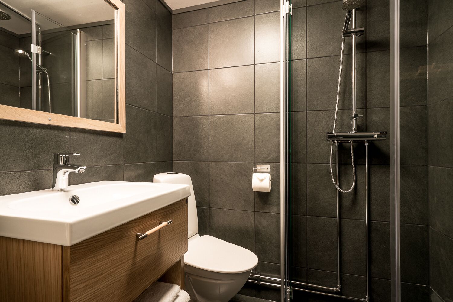 basic twin room | bathroom | shower, hair dryer, towels