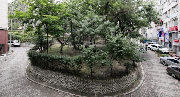 A tree-lined street with parked cars and buildings on either side.