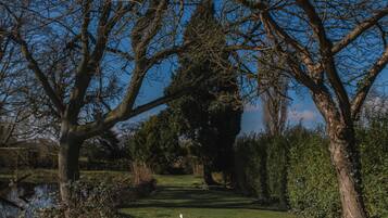 A pathway flanked by trees leading to a body of water.