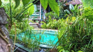 A small, rectangular pool surrounded by lush greenery and tropical plants. - Santhiku Hotel & SPA (Banjar)