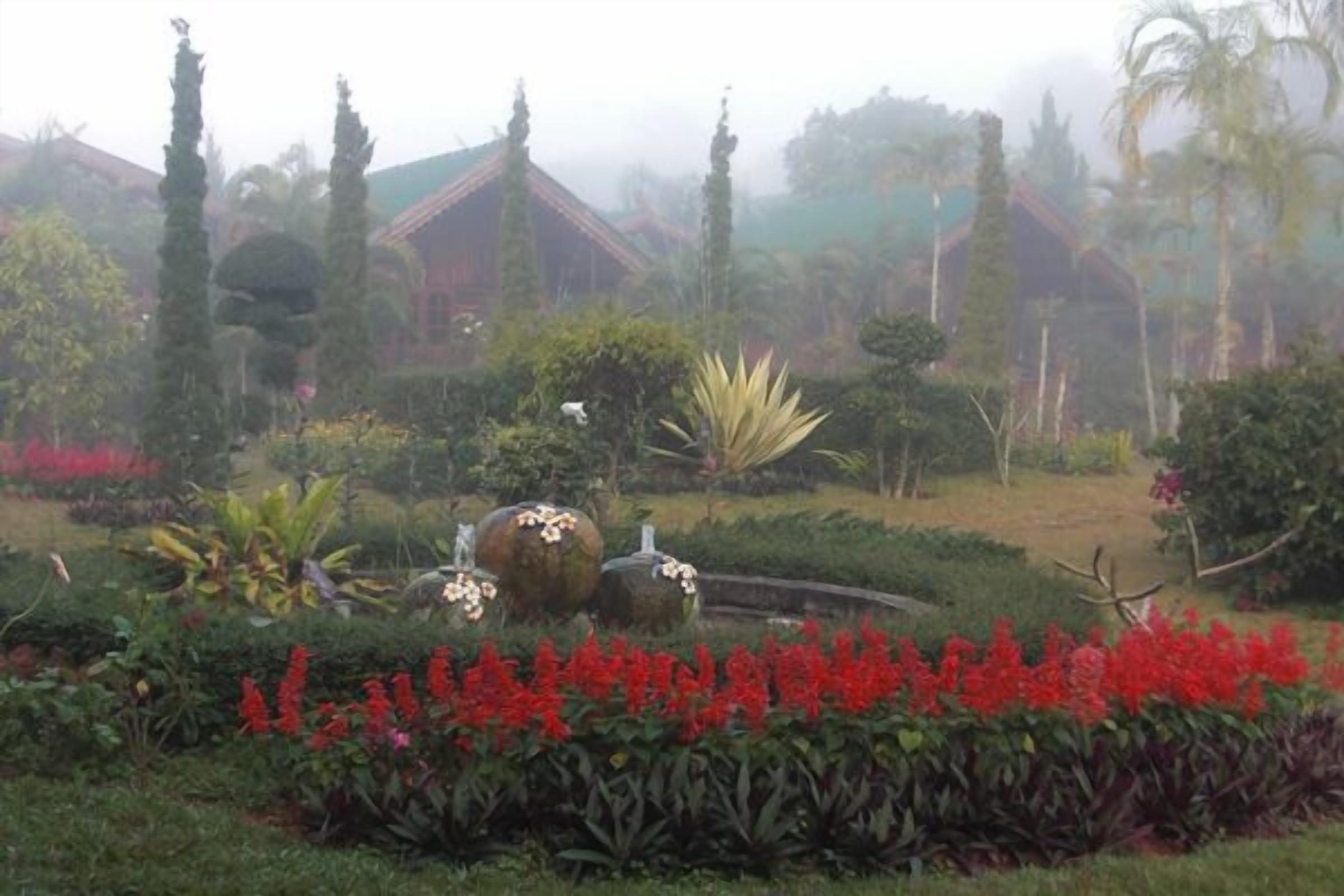 A garden with various plants and a traditional building in the background.