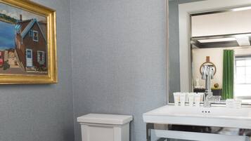 Een badkamer met een wit toilet, een wastafel met spiegel en een schilderij in een lijst aan de muur.