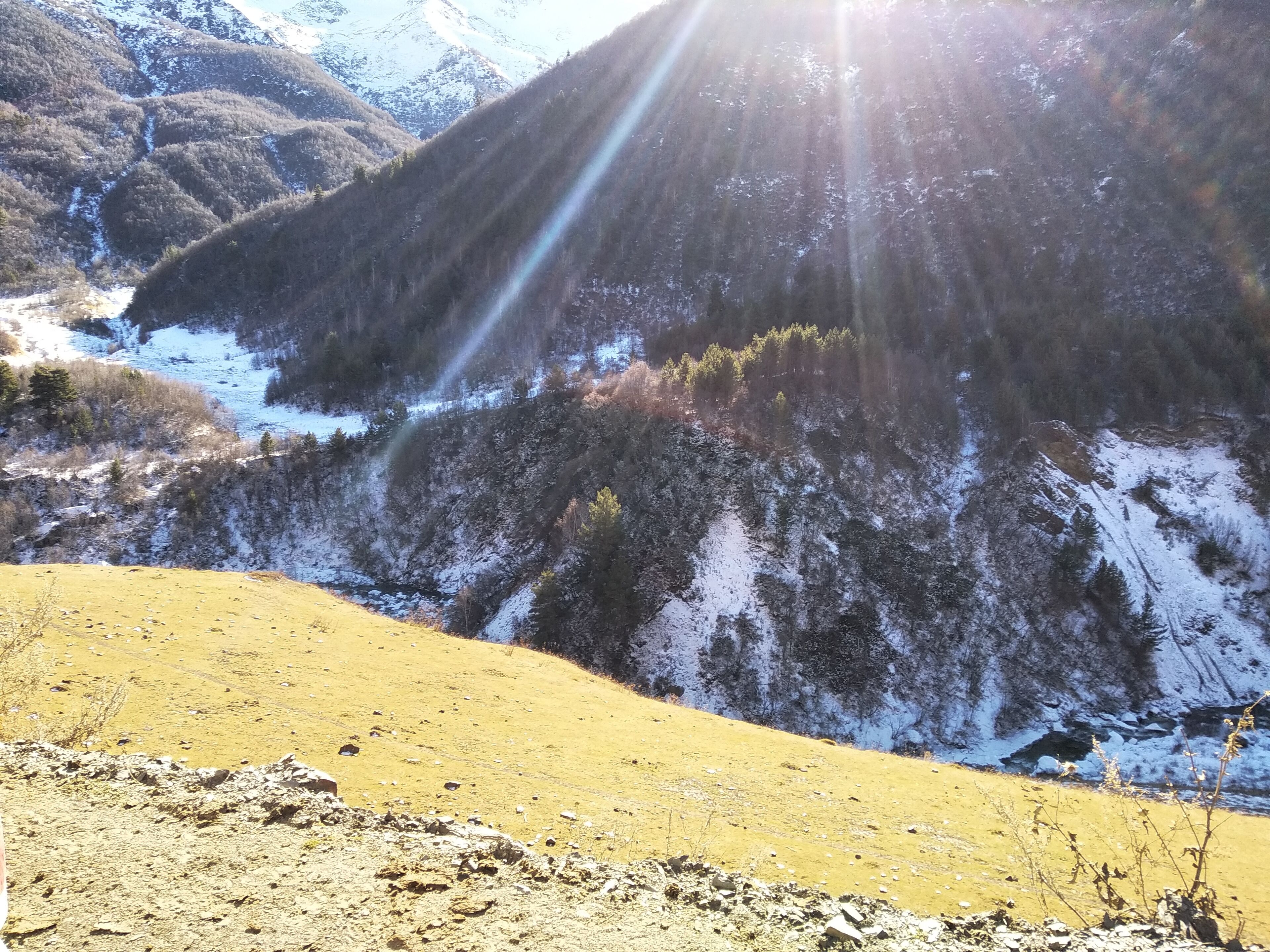 Photo - Hotel Kutaisi Globus