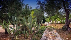 Un jardín con cactus y árboles, un sendero de piedra y un cielo despejado.