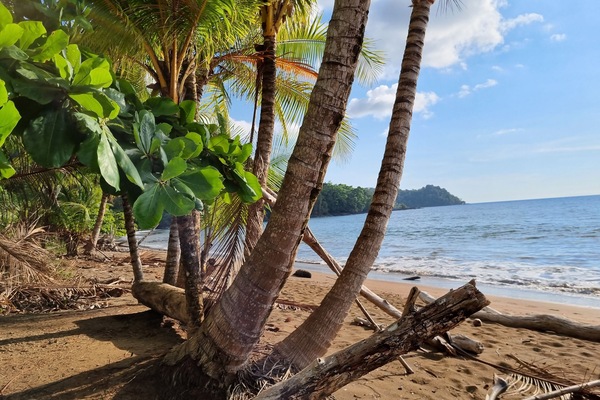 Beach nearby, fishing