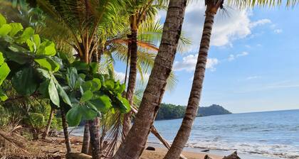 Cabinas Pura Vida Bed & Breakfast