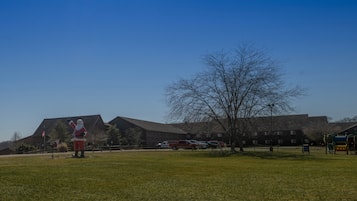 A grassy field with a large tree and a building in the background.