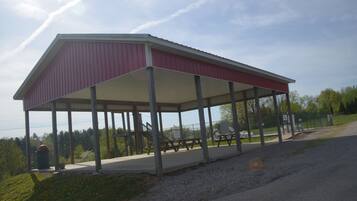 A covered picnic area with benches and picnic tables, surrounded by trees and a gravel path.