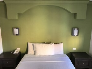 Single Room, 1 Queen Bed