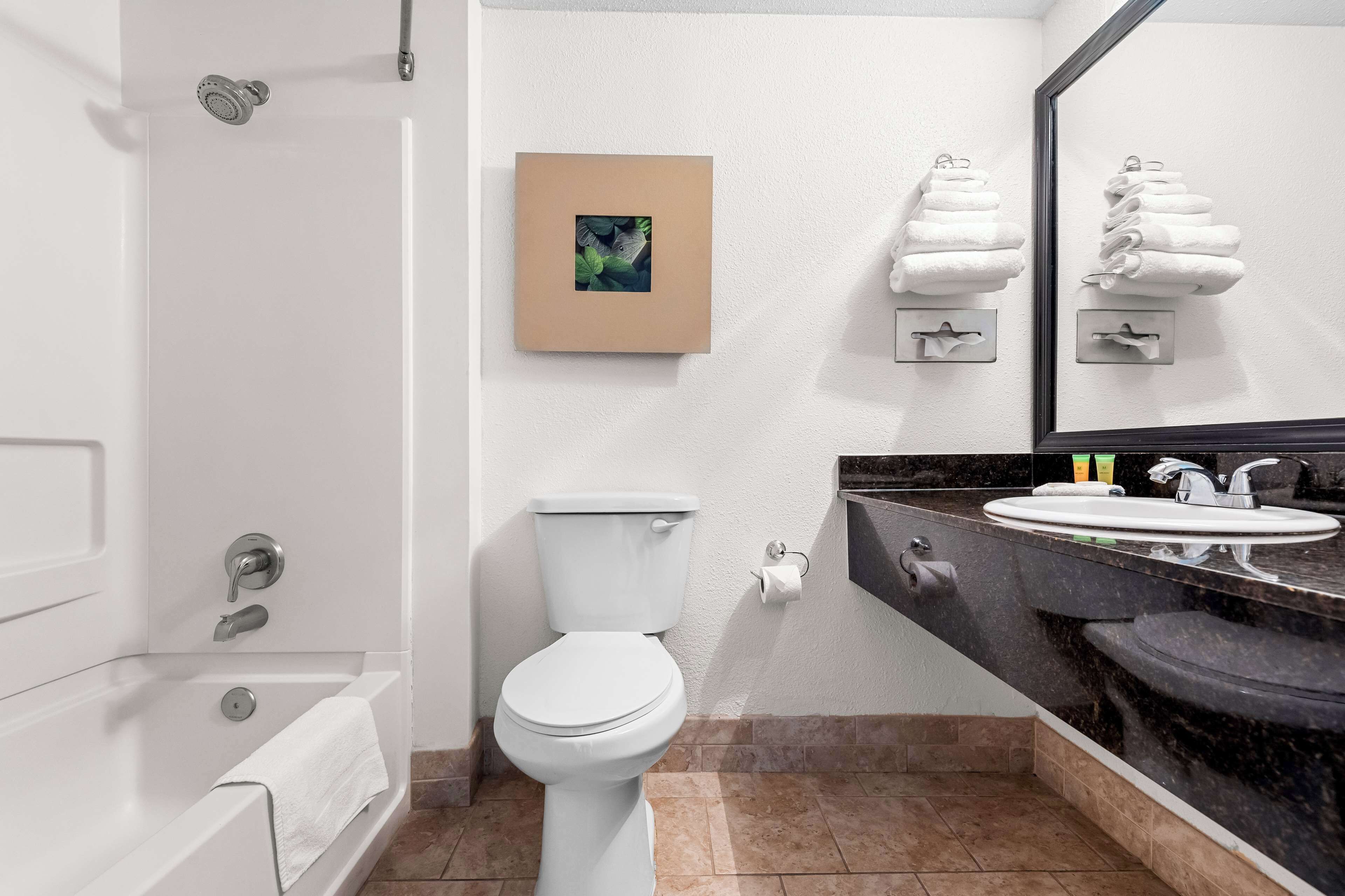 combined shower/bathtub, free toiletries, hair dryer, towels