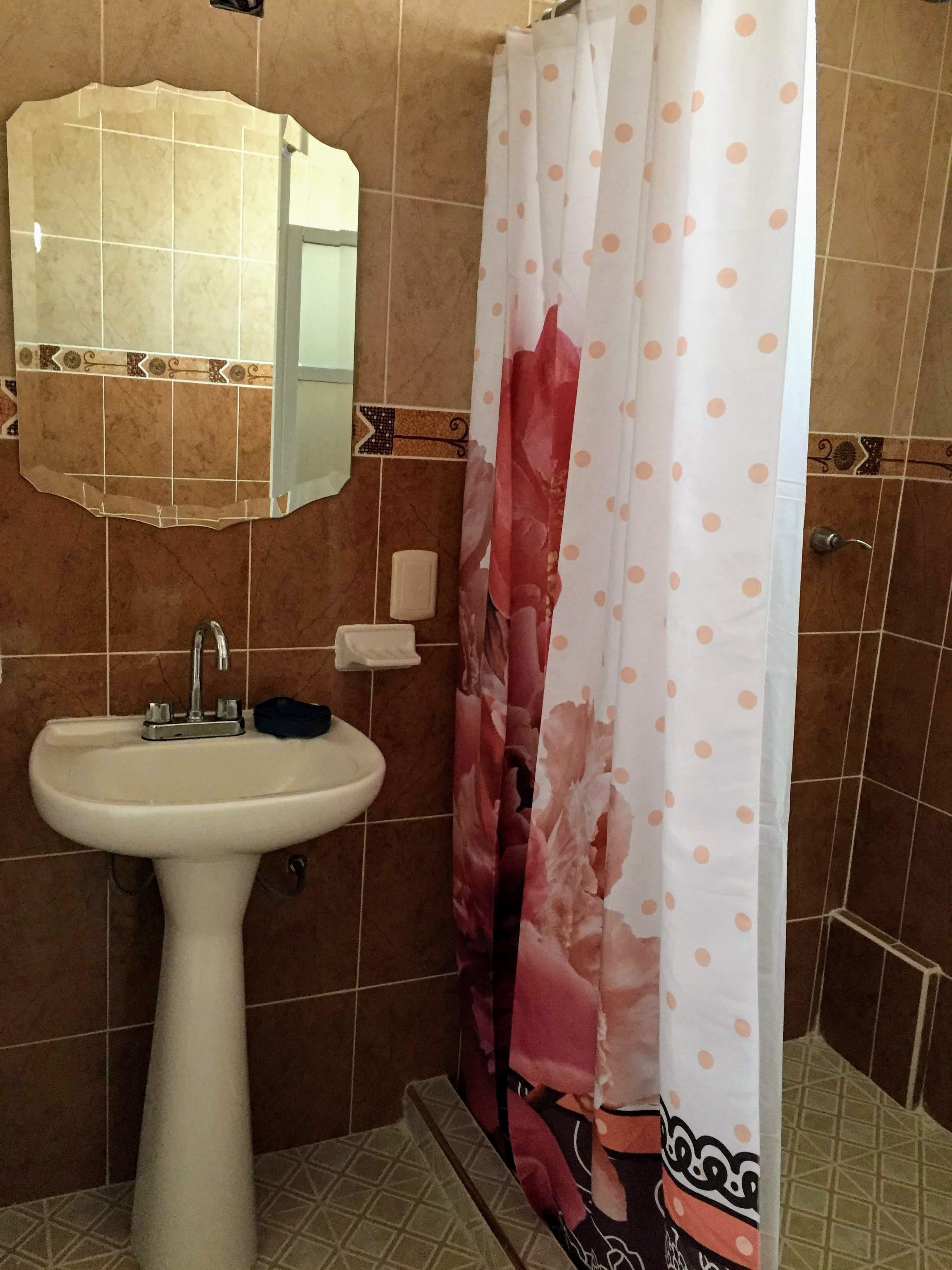 A bathroom with a sink, mirror, and shower curtain.