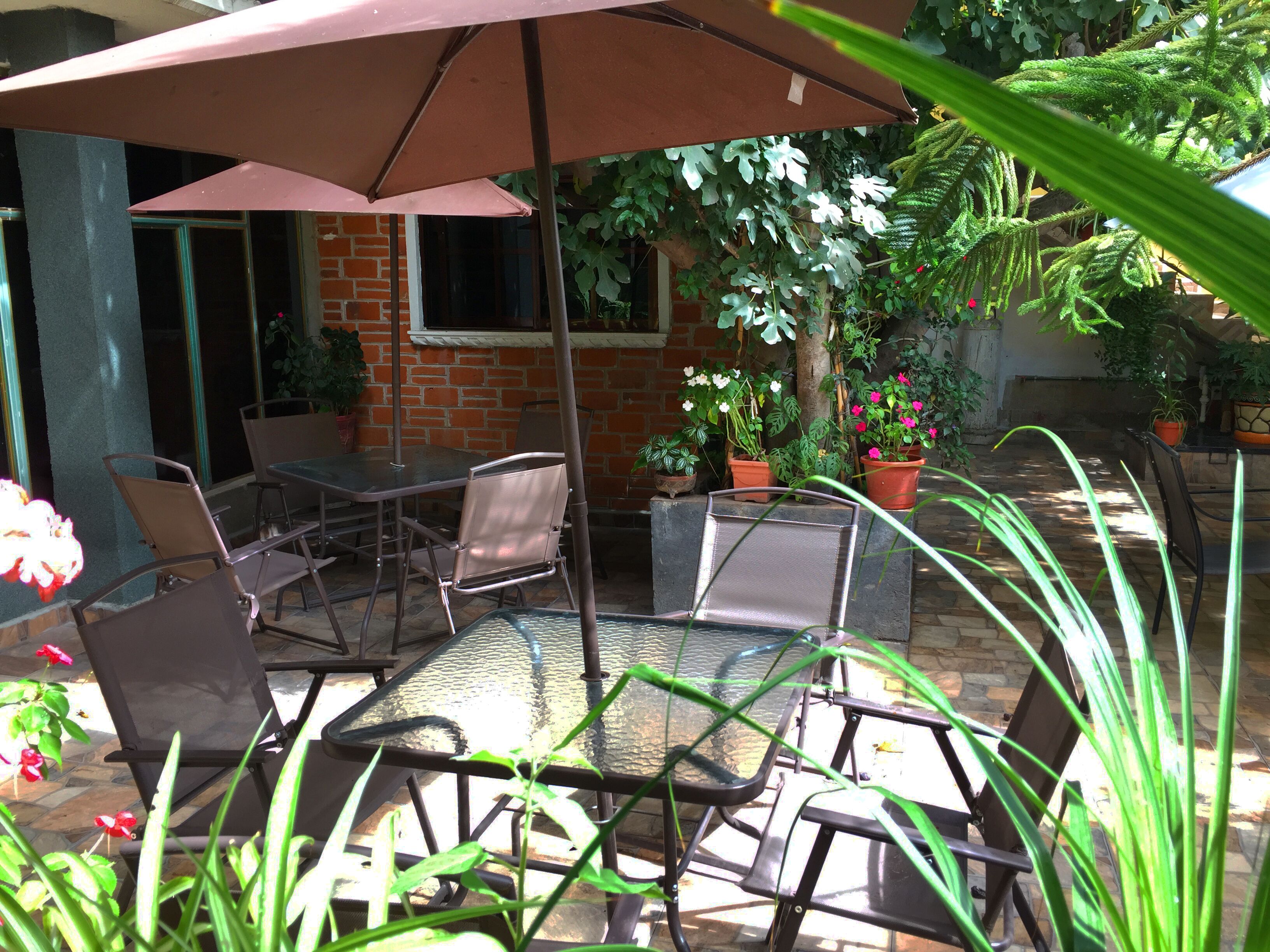 Photo - Hotel Posada Jatziri