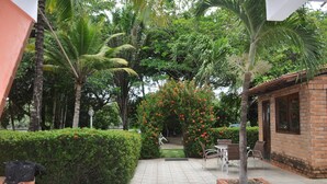 Um pátio com um edifício de tijolos, palmeiras e um arbusto de flores.